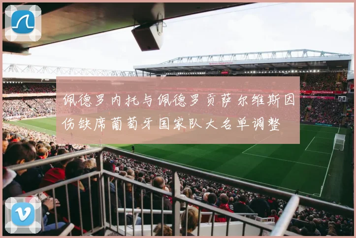 佩德罗内托与佩德罗贡萨尔维斯因伤缺席葡萄牙国家队大名单调整