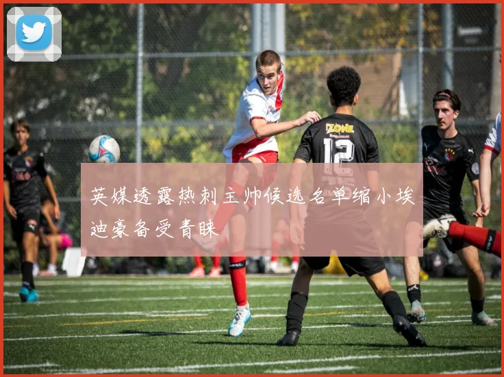 英媒透露热刺主帅候选名单缩小埃迪豪备受青睐